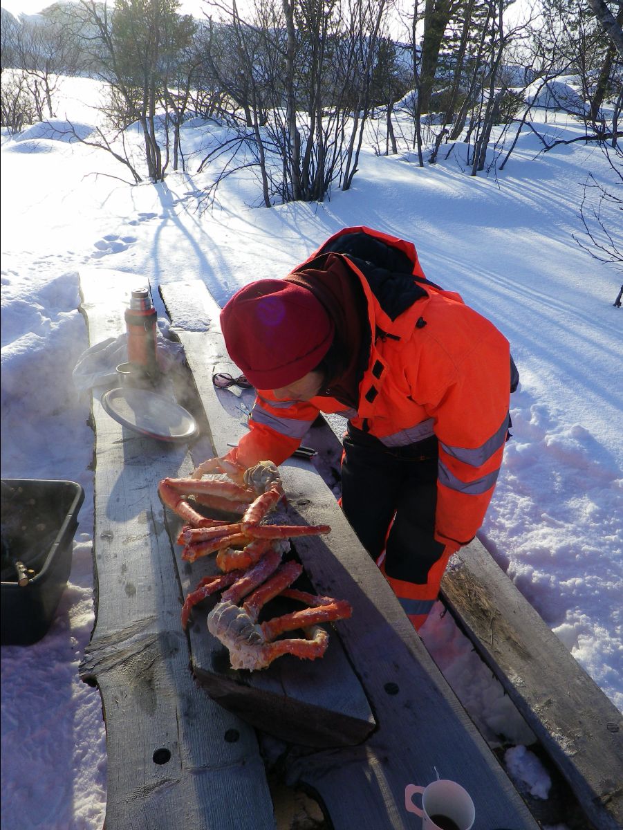 King Crab111